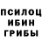 Галлюциногенные грибы Psilocybine cubensis QadeemSamir