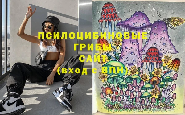 стаф Киренск