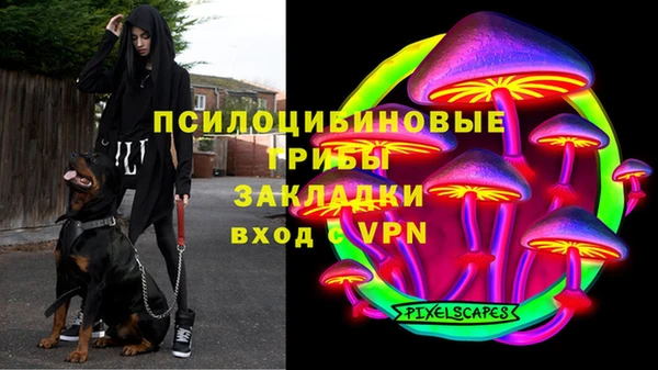 стаф Киренск
