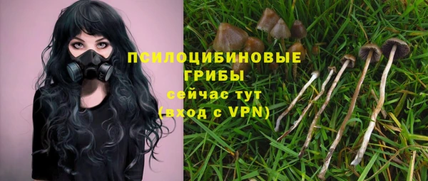 прущая мука Киреевск