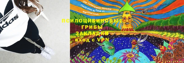 стаф Киренск