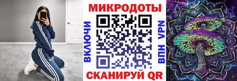 Купить где  Юрьевец  Псилоцибиновые грибы мицелий 